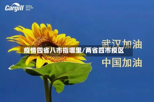 疫情四省八市指哪里/两省四市疫区-第3张图片