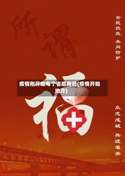 疫情刚开始每个省都有吗(疫情开始地方)-第3张图片