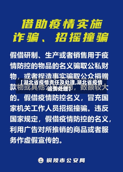 【湖北省疫情责任及处理,湖北省疫情追责处理】-第1张图片