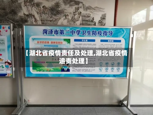 【湖北省疫情责任及处理,湖北省疫情追责处理】-第2张图片