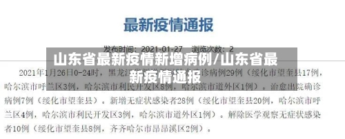 山东省最新疫情新增病例/山东省最新疫情通报-第2张图片