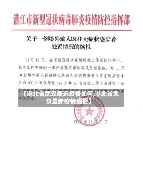 【湖北省武汉最近疫情如何,湖北省武汉最新疫情通报】-第2张图片