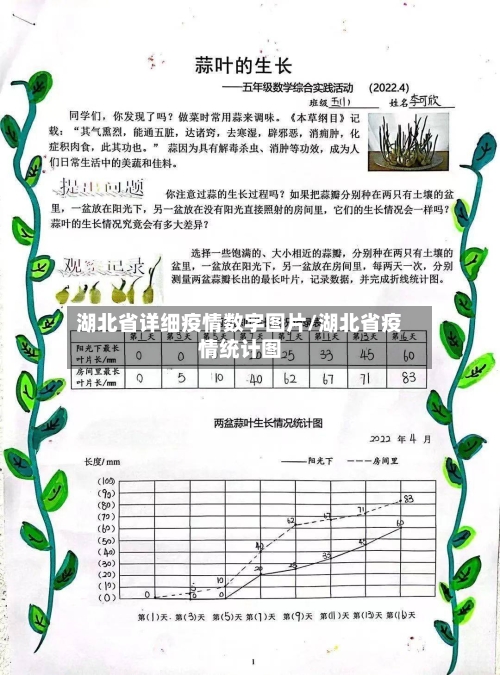 湖北省详细疫情数字图片/湖北省疫情统计图-第2张图片