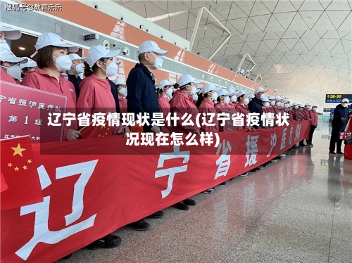 辽宁省疫情现状是什么(辽宁省疫情状况现在怎么样)-第1张图片