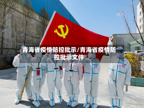 青海省疫情防控批示/青海省疫情防控批示文件-第1张图片