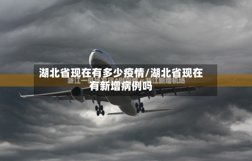 湖北省现在有多少疫情/湖北省现在有新增病例吗-第2张图片