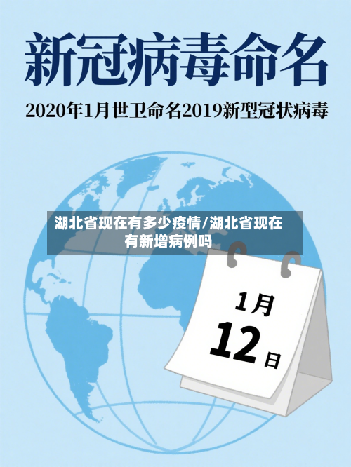 湖北省现在有多少疫情/湖北省现在有新增病例吗-第3张图片