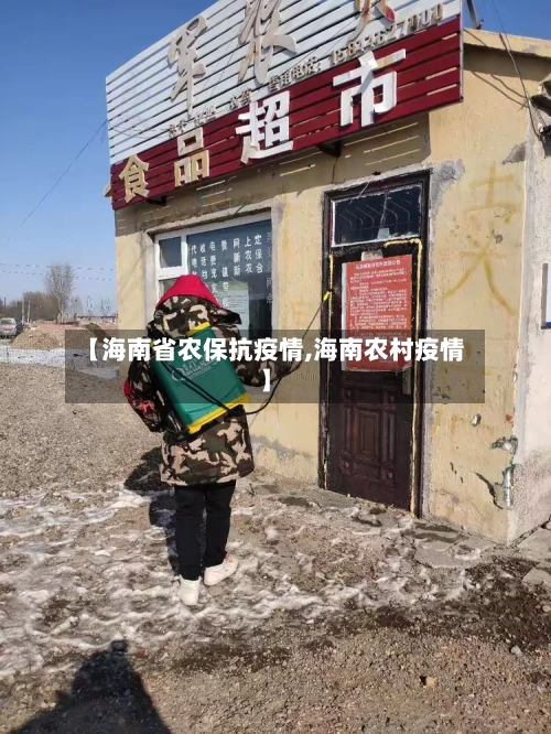 【海南省农保抗疫情,海南农村疫情】-第2张图片