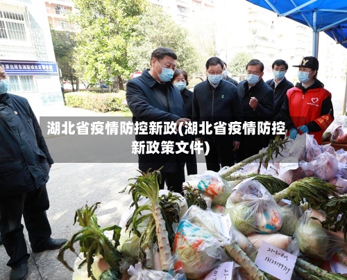 湖北省疫情防控新政(湖北省疫情防控新政策文件)-第2张图片