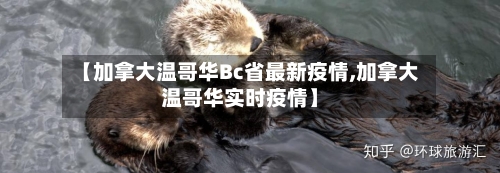【加拿大温哥华Bc省最新疫情,加拿大温哥华实时疫情】-第2张图片