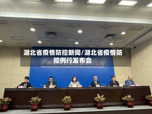 湖北省疫情防控新闻/湖北省疫情防控例行发布会-第3张图片