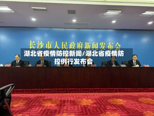 湖北省疫情防控新闻/湖北省疫情防控例行发布会-第2张图片