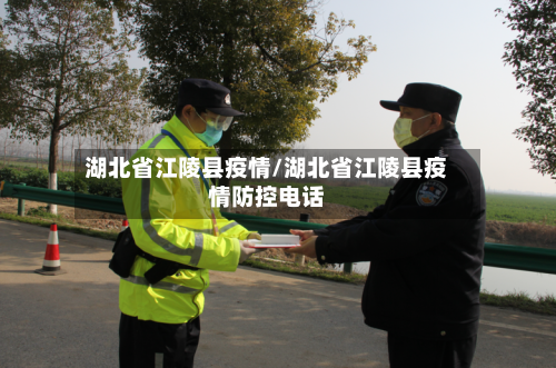 湖北省江陵县疫情/湖北省江陵县疫情防控电话-第2张图片