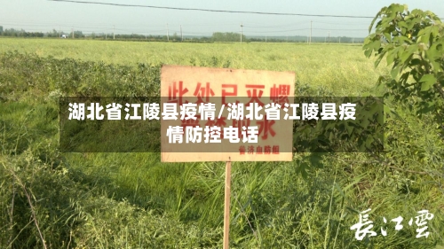 湖北省江陵县疫情/湖北省江陵县疫情防控电话-第3张图片