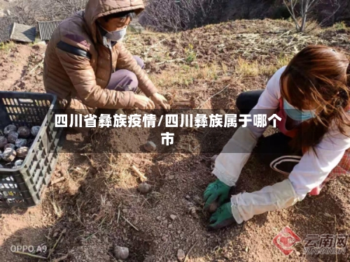 四川省彝族疫情/四川彝族属于哪个市-第2张图片