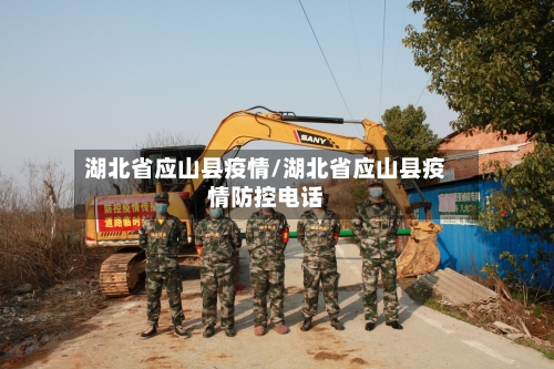 湖北省应山县疫情/湖北省应山县疫情防控电话-第1张图片