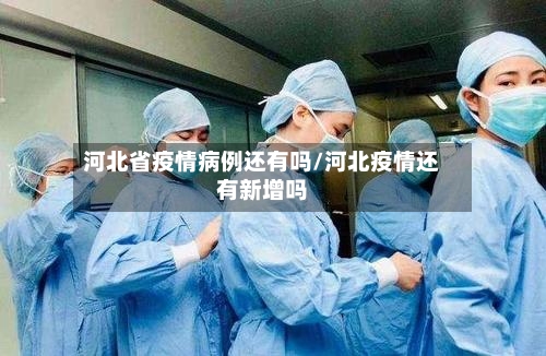 河北省疫情病例还有吗/河北疫情还有新增吗-第1张图片