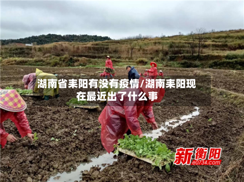 湖南省耒阳有没有疫情/湖南耒阳现在最近出了什么事-第2张图片