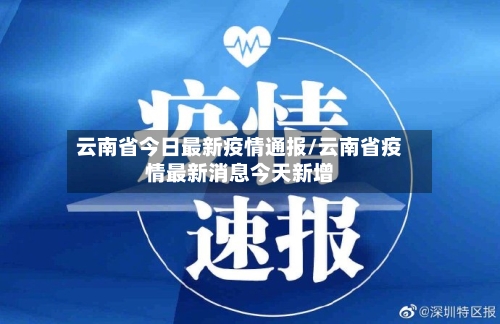 云南省今日最新疫情通报/云南省疫情最新消息今天新增-第2张图片