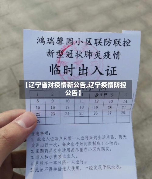 【辽宁省对疫情新公告,辽宁疫情防控公告】-第1张图片