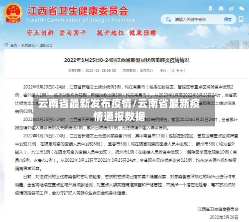 云南省最新发布疫情/云南省最新疫情通报数据-第3张图片