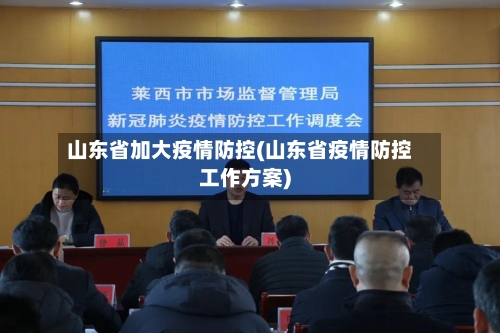 山东省加大疫情防控(山东省疫情防控工作方案)-第2张图片