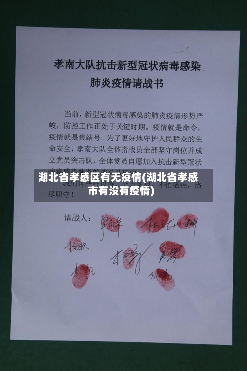 湖北省孝感区有无疫情(湖北省孝感市有没有疫情)-第1张图片