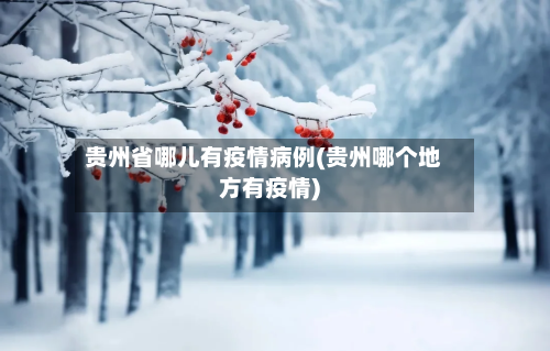贵州省哪儿有疫情病例(贵州哪个地方有疫情)-第3张图片