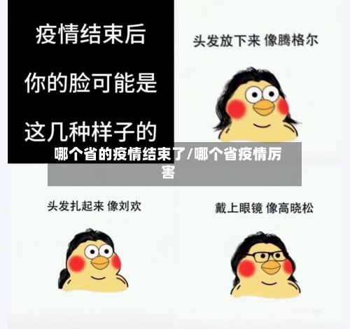 哪个省的疫情结束了/哪个省疫情厉害-第2张图片