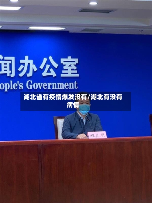 湖北省有疫情爆发没有/湖北有没有病情-第3张图片
