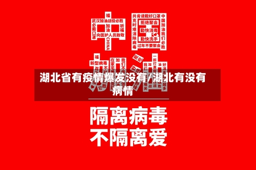 湖北省有疫情爆发没有/湖北有没有病情-第1张图片