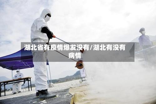 湖北省有疫情爆发没有/湖北有没有病情-第2张图片