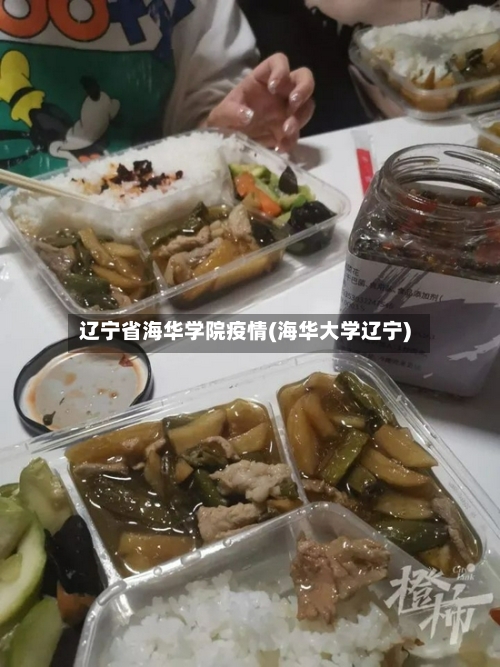 辽宁省海华学院疫情(海华大学辽宁)-第1张图片