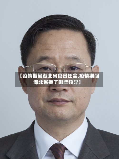 【疫情期间湖北省官员任命,疫情期间湖北省换了哪些领导】-第2张图片
