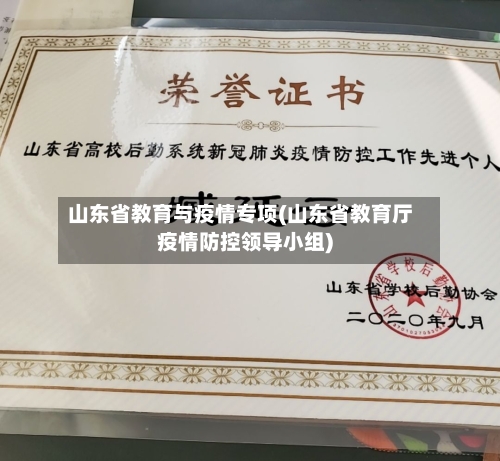 山东省教育与疫情专项(山东省教育厅疫情防控领导小组)-第2张图片