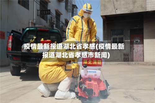 疫情最新报道湖北省孝感(疫情最新报道湖北省孝感市新闻)-第2张图片