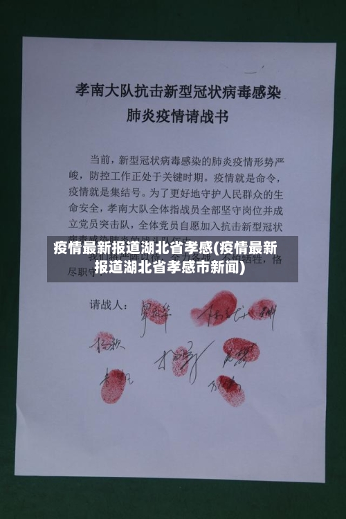 疫情最新报道湖北省孝感(疫情最新报道湖北省孝感市新闻)-第1张图片