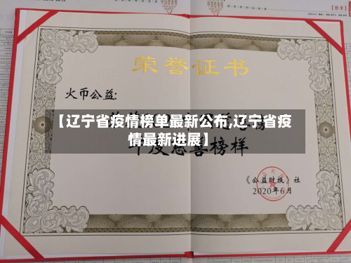 【辽宁省疫情榜单最新公布,辽宁省疫情最新进展】-第2张图片