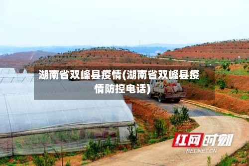湖南省双峰县疫情(湖南省双峰县疫情防控电话)-第1张图片