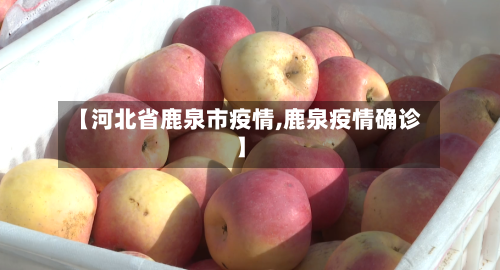 【河北省鹿泉市疫情,鹿泉疫情确诊】-第2张图片
