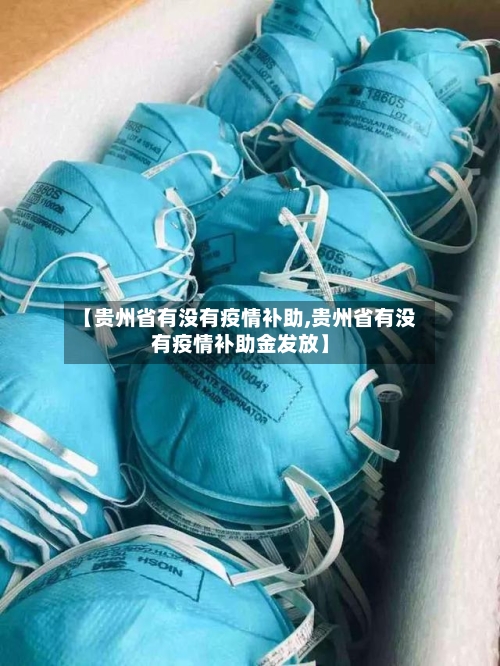 【贵州省有没有疫情补助,贵州省有没有疫情补助金发放】-第3张图片