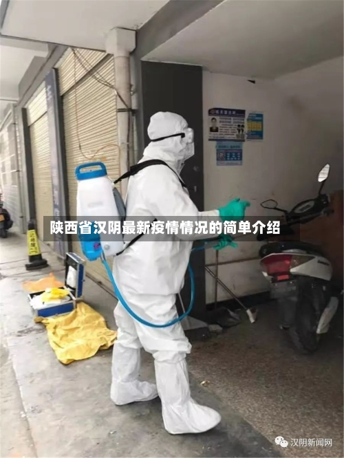 陕西省汉阴最新疫情情况的简单介绍-第1张图片