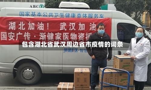 包含湖北省武汉周边省市疫情的词条-第3张图片
