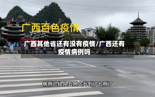 广西其他省还有没有疫情/广西还有疫情病例吗-第2张图片