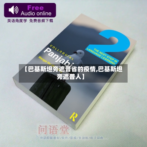 【巴基斯坦旁遮普省的疫情,巴基斯坦旁遮普人】-第3张图片