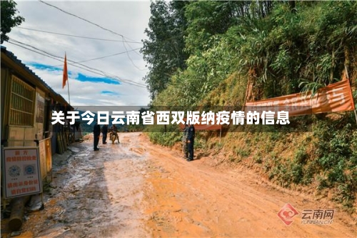 关于今日云南省西双版纳疫情的信息-第3张图片