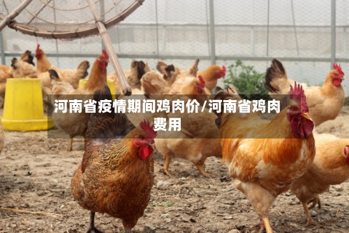 河南省疫情期间鸡肉价/河南省鸡肉费用-第3张图片