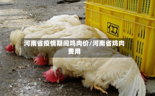 河南省疫情期间鸡肉价/河南省鸡肉费用-第2张图片