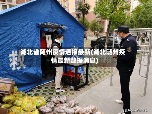 湖北省随州疫情通报最新(湖北随州疫情最新数据消息)-第3张图片