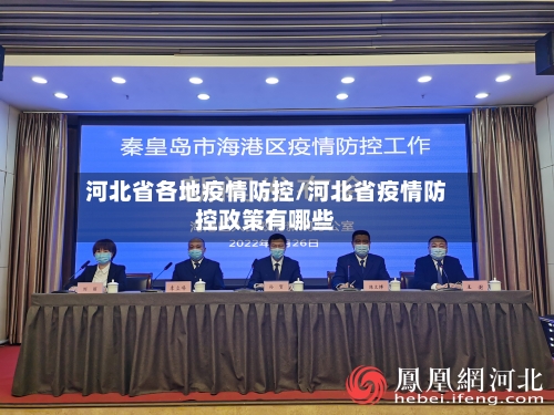 河北省各地疫情防控/河北省疫情防控政策有哪些-第2张图片